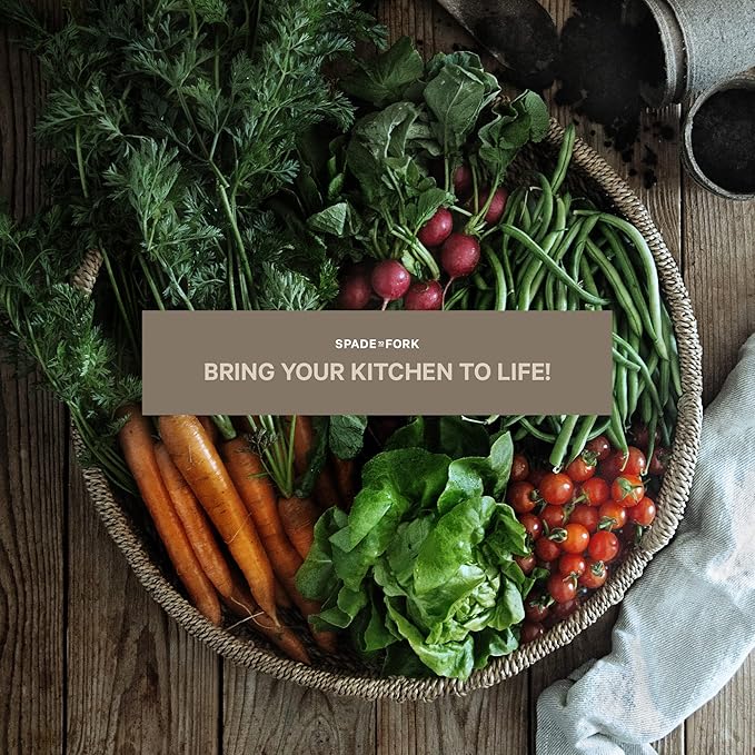 Organic Indoor Vegetable Garden Starter Kit - Made in USA - Certified USDA Organic - 5 Seed Types Cherry Tomato, Lettuce, Carrot, Radish, Green Bean | Indoor Plant Seeds, Indoor Garden Kit, Plant Kit-VerdiqueGarden