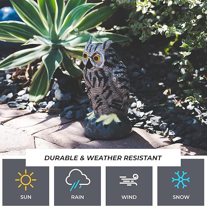 Galashield Owl Decoy to Scare Birds Away | Plastic Owls to Scare Birds Away | Owl Statue for Garden & Outdoors-VerdiqueGarden