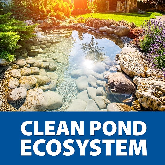 The Pond Guy Seasonal Defense, Spring & Fall Beneficial Bacteria, Barley & Enzymes, Cold Water Pond Sludge & Scum Treatment, Fish & Plant Safe, 24 Packets-VerdiqueGarden