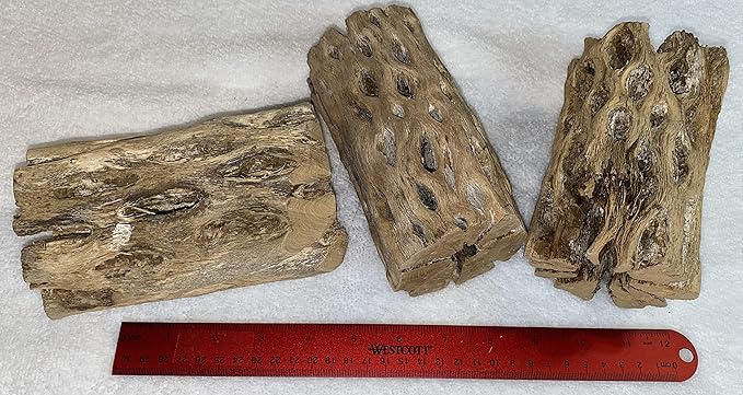 Awesome Aquatic 3 in Plus Thick XL Teddy Bear/Chain Fruit/Buckhorn/Staghorn Cholla Wood Hollow Tube Wood Cactus Skeleton Tubes 3” Plus Thick/Diameter (6 in x 3 in Plus Diameter)