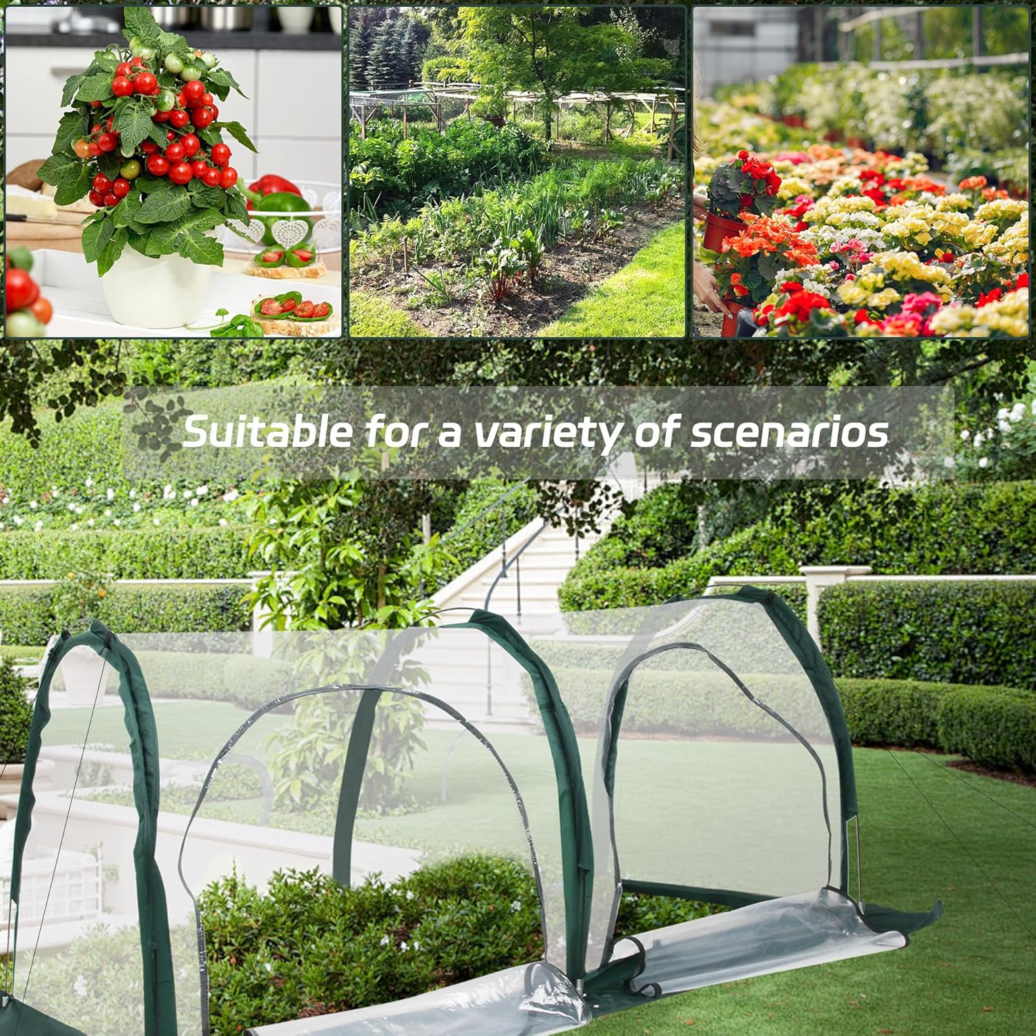Portable Tunnel Greenhouse for Outdoors - Transparent Mini Greenhouses Ideal for Backyards and Outdoor Vegetable Cultivation (2M)-VerdiqueGarden
