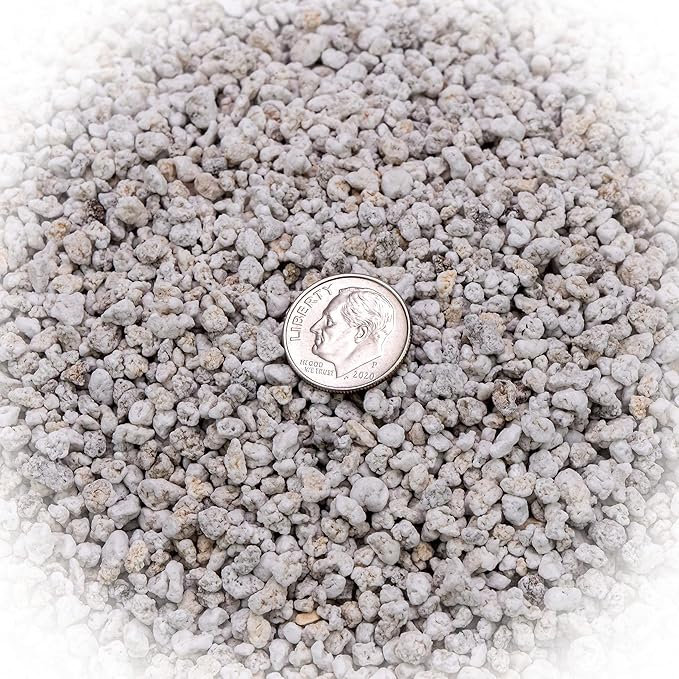 Organic Perlite - Medium/Fine Grade (1 Quart Bag) Horticultural Soil Amendment for Indoor & Outdoor Container Plants for Drainage Management and Enhanced Growth-VerdiqueGarden