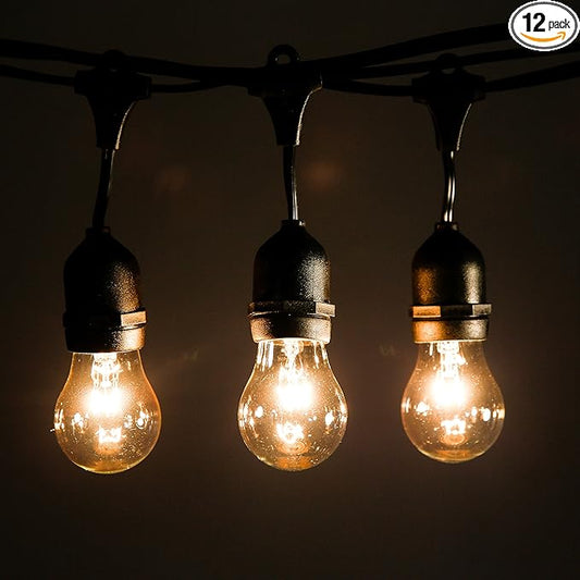 Hometown Evolution, Inc. 24 Foot E26 Outdoor Commercial String Lights with Suspended Socket for Weatherproof Heavy Duty Vintage Outside Lighting - Set of 12 A15 Clear Bulbs-VerdiqueGarden