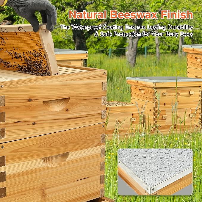 CREWORKS 10 Frame Bee Hive, 2 Layers Beeswax Coated Beehive Starter Kit with Frames & Foundations, Langstroth Bees Hives Box with Transparent Acrylic (Window Medium Box & Deep Box)-VerdiqueGarden