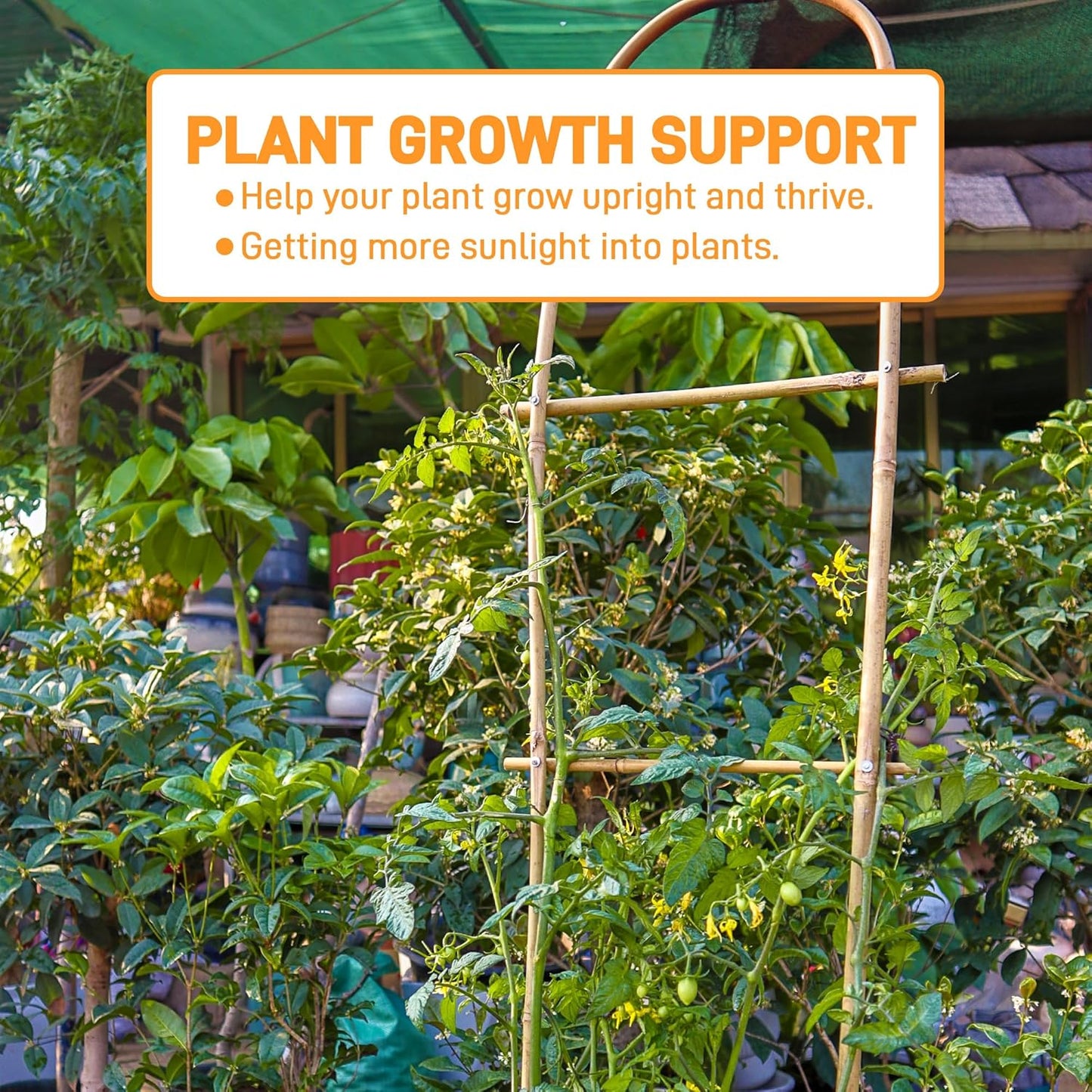 Avalution 10 Pack Bamboo U Trellis for Climbing Plants, 4 FT Garden Ladder Trellis for Potted Plants Indoor, Ladder Small Plant Support Trellis for Houseplants Ivy Hoya Vine Monstera-VerdiqueGarden