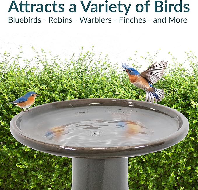 Sunnydaze 21" H Ceramic Bird Bath for Outside - Hand-Painted Outdoor Bird Bath Bowl, UV/Frost-Resistant Finish - Dusty Rose - Classic Pedestal-VerdiqueGarden