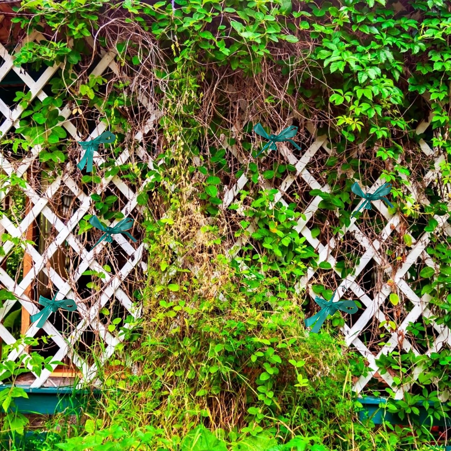 KINGLAKE GARDEN Stretch Tie Tape Roll-4 Rolls Total 600 Feet 1/2" Green Garden Tape,Plant Ribbons Plant Garden Tie for Branches, Climbing Planters, Flowers-VerdiqueGarden