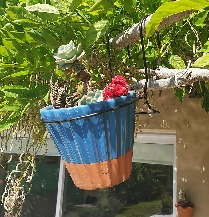 6 Pieces, 8 inches Iron hanging Flower Pot. Metal Plant Wall Hanger, Vertical Yard Garden. Planter Hook Ring, Rail Metal Fence. Indoor and Outdoor. Wire Trellis. Collapsible Bracket. (8 inches)-VerdiqueGarden