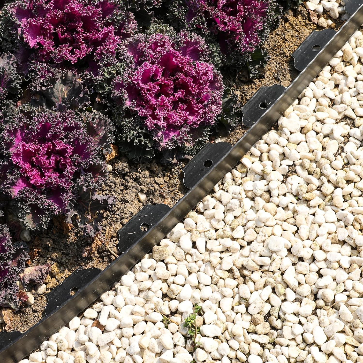 1.5 Inch Garden Edging Border 100FT, Plastic Edging for Landscaping with 90pcs Spikes-VerdiqueGarden