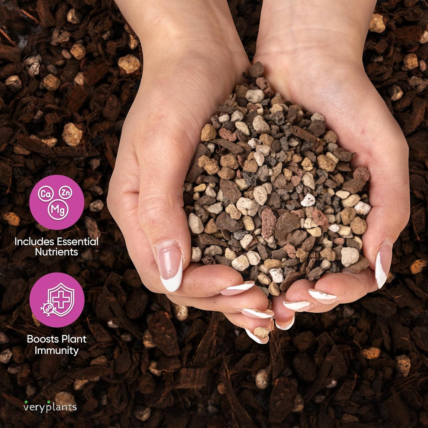 Molly's Succulent Mix - Premium Gritty Soilless Potting Mix for Succulents, Cactus and Bonsai - Contains Akadama, Hyuga, Bark Fines, Pumice, Lava Rock, Mycorrhizae 5 Dry Quarts-VerdiqueGarden