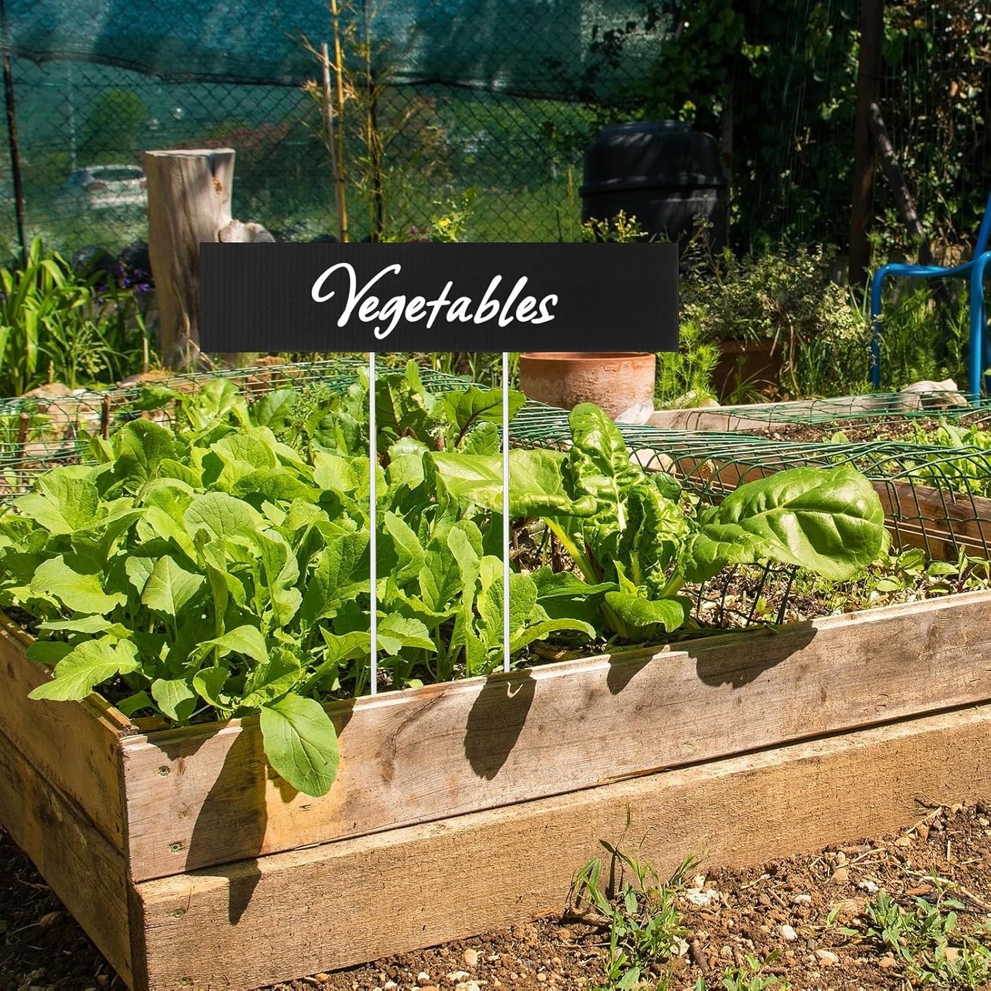 10 Set Jumbo Outdoor Plant Label Stakes Waterproof Nursery Garden Markers Plastic T Type Plant Tag Identification Stake with Marker Pen for Herb Vegetable Flowers, 12" High (Black)-VerdiqueGarden