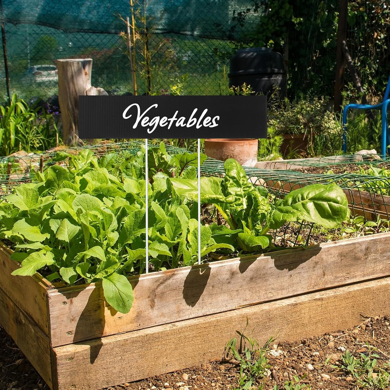 10 Set Jumbo Outdoor Plant Label Stakes Waterproof Nursery Garden Markers Plastic T Type Plant Tag Identification Stake with Marker Pen for Herb Vegetable Flowers, 12" High (Black)-VerdiqueGarden