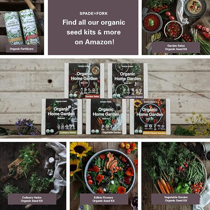 Organic Indoor Lettuce & Greens Garden Starter Kit - Certified USDA Organic Non GMO - Includes Spinach, Kale, Red Romaine, Loose Leaf Lettuce Seeds for Planting, Potting Soil, Peat Pots-VerdiqueGarden