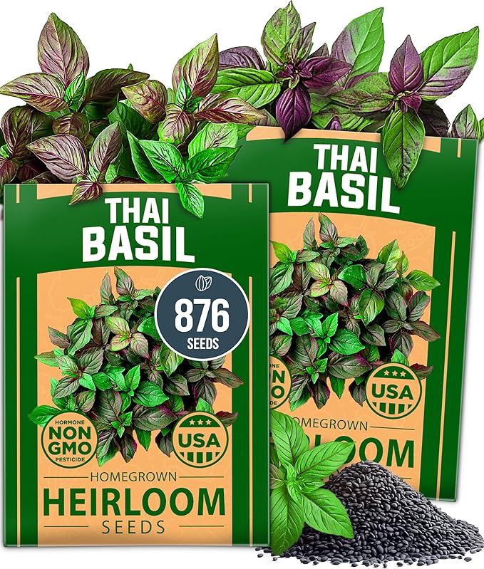 HOME GROWN Thai Basil Seeds Pack - 876 High Germination 𝗡𝗢𝗡-𝗚𝗠𝗢 𝗨𝗦𝗔 Heirloom Herb Seeds for Planting,Ideal for Growing Fresh Basil Planting Indoor or Outdoor(Ocimum basilicum var.thyrsiflora)-VerdiqueGarden