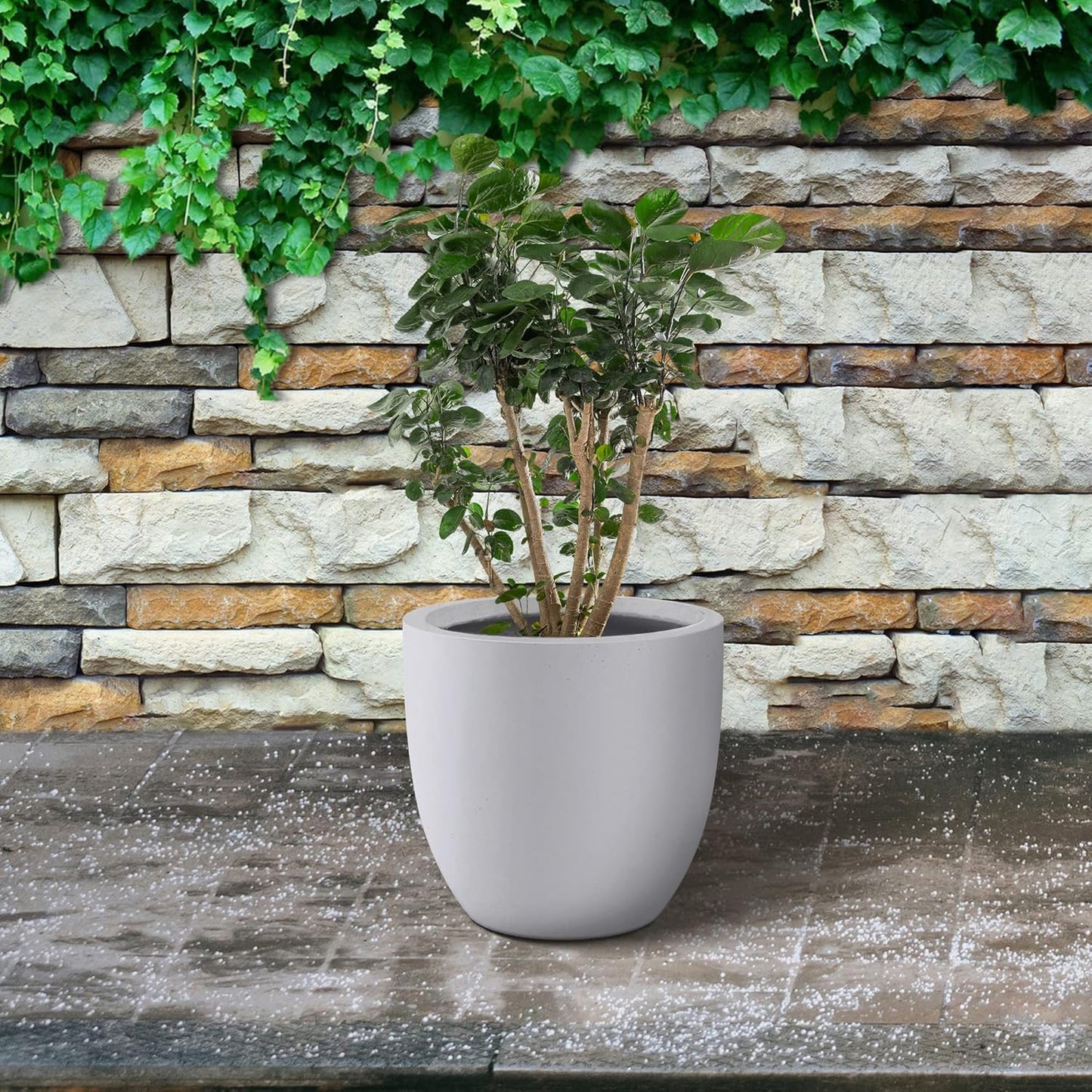 Kante 10 Inch Dia Round Concrete Planter, Indoor Outdoor Large Plant Pot with Drainage Hole and Rubber Plug for Home Patio Garden, Pure White-VerdiqueGarden