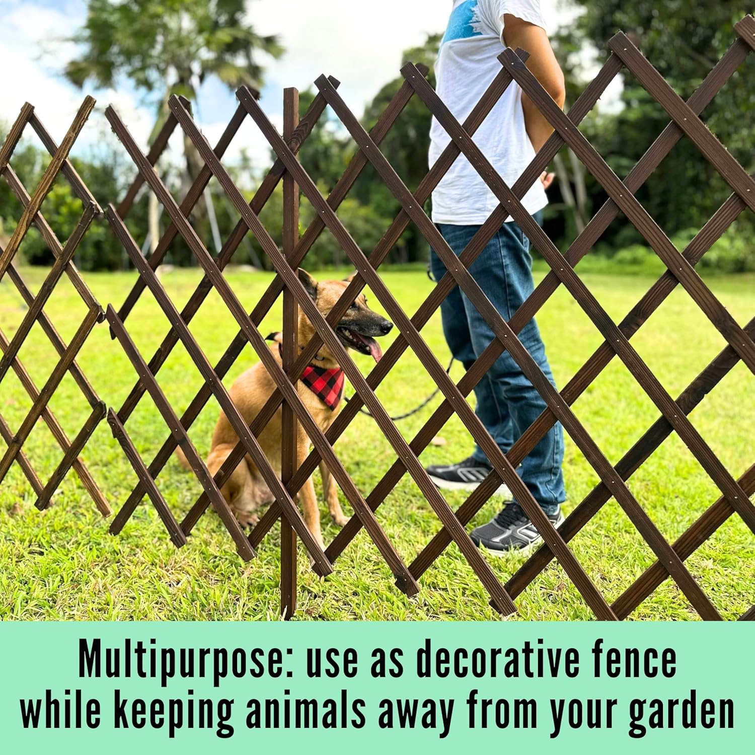 ShopLaLa Garden Fence (2 Pack, Total 12ft (L)) Wooden Lattice Panels for Outside Flower Edging Landscape Patio Outdoor Decor, Expandable Wood Plant Trellis Fences and Gates, Animal Barrier for Dogs-VerdiqueGarden