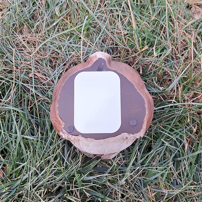 Stocky Squirrel Outdoor Hidden Key Hider and Decorative Patio, Lawn and Garden Statue-VerdiqueGarden