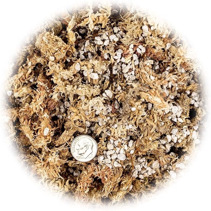 Sphagnum Moss Potting Mix for Carnivorous Plants, Moss and Perlite Blend for Potting Venus Fly Traps, Sarracenia, Pitcher Plants - 75% Sphagnum Moss + 25% Perlite - Made in USA - 5 Quart-VerdiqueGarden