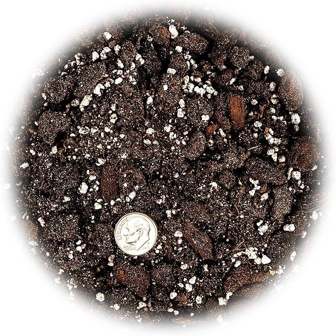 Professional Succulent Soil Premium All Purpose Blend | Pre-Mixed Ready to Use for Cactus and Succulents | Sphagnum Peat Moss, Perlite, New Zealand Pine Bark - Made in USA - 3 Quart-VerdiqueGarden