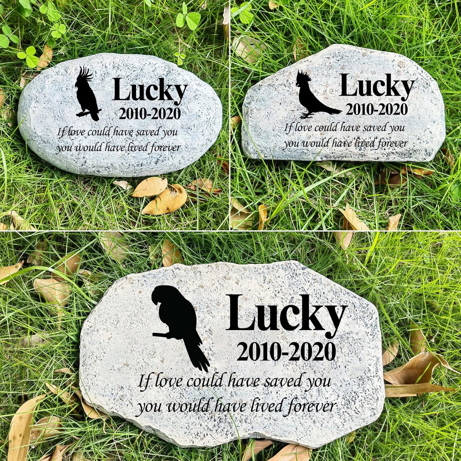Zatanmulo Personalized Pet Memorial Stone, Garden Memorial Stone Personalized, Parrot Headstone, Parrot Tombstone, Memorial Plaque Outdoor, Garden Stepping Stone (Parrot)-VerdiqueGarden