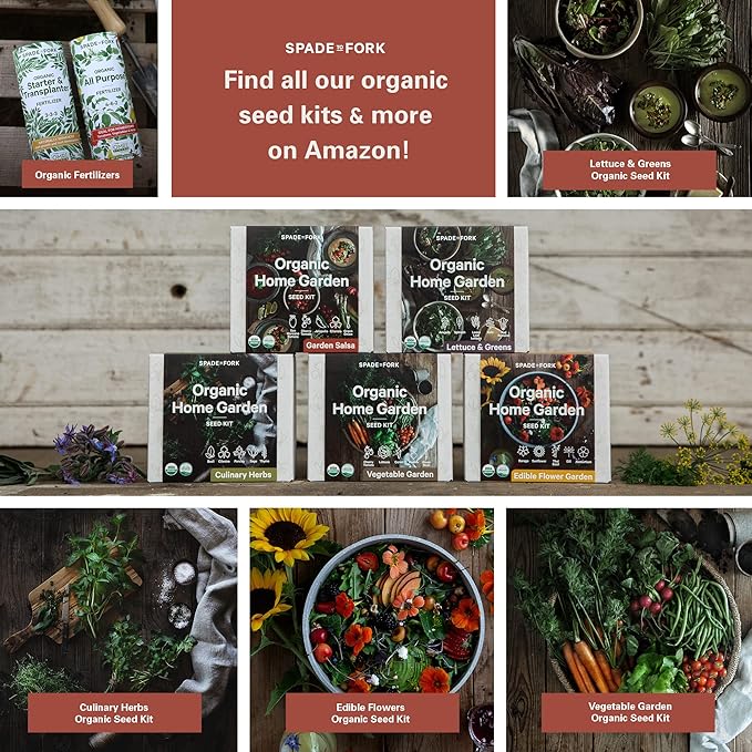 Organic Indoor Salsa Garden Starter Kit - Made in USA - Certified USDA Organic - 5 Seed Types San Marzano & Cherry Tomato, Jalapeño, Cilantro, Green Onion - Potting Soil, Indoor Herb Garden Kit-VerdiqueGarden