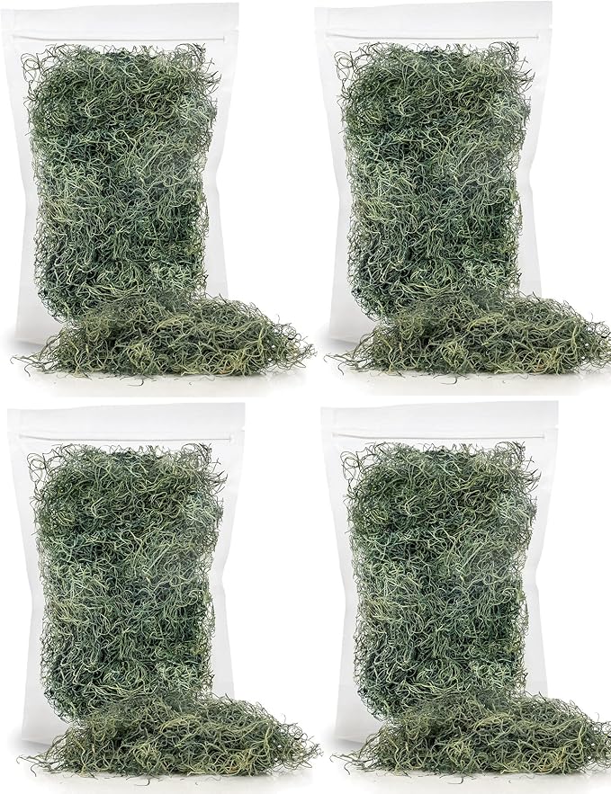 Premium Spanish Moss in Basil| Natural Preserved - Great Ground Cover - Filler for Potted Plants - by GARDENERA - 2 Quart Bag-VerdiqueGarden