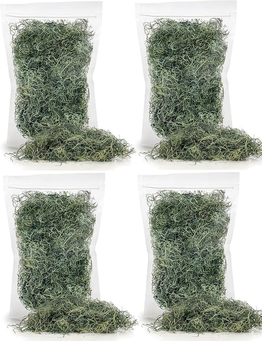Premium Spanish Moss in Basil| Natural Preserved - Great Ground Cover - Filler for Potted Plants - by GARDENERA - 2 Quart Bag-VerdiqueGarden