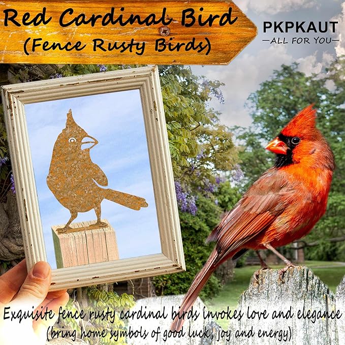 5Pcs Metal Birds Cardinal Craft Statue Ornaments Fence Topper Decor, Rusty Birds Metal Art for Fence Decorations Outdoor, Metal Bird Silhouette with Rusty Yard Art-VerdiqueGarden