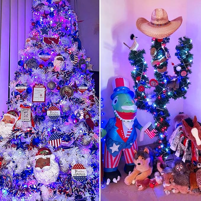 JMEXSUSS 4th of July Decorations Red White and Blue Lights, 33ft 100 LED String Light Indoor Plug-in, 8 Modes Patriotic 4th of July Lights for Indoor Outdoor Independence Day American Flag Holiday-VerdiqueGarden