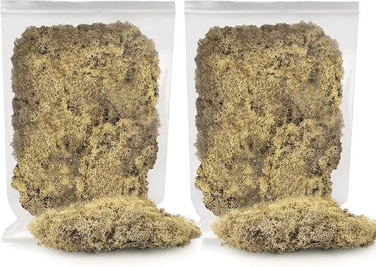 Premium Preserved Reindeer Moss for Potted Plants, Terrariums, Fairy Gardens, Arts and Crafts or Floral Decor Design in Natural (10 Quart)-VerdiqueGarden