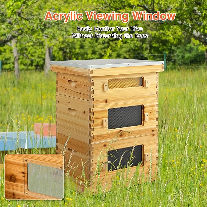 CREWORKS 10 Frame Bee Hive, 3 Layers Beeswax Coated Beehive Starter Kit with Frames & Foundations, Langstroth Bees Hives Box with Transparent Acrylic (Window Medium Box & 2 Deep Boxes)-VerdiqueGarden