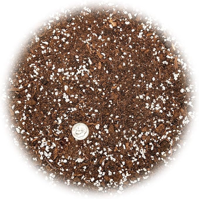 House Plant and Tropical Plant Potting Soil - Re-Potting Soil for All Types of Indoor House Plants - 3 Quart Bag-VerdiqueGarden