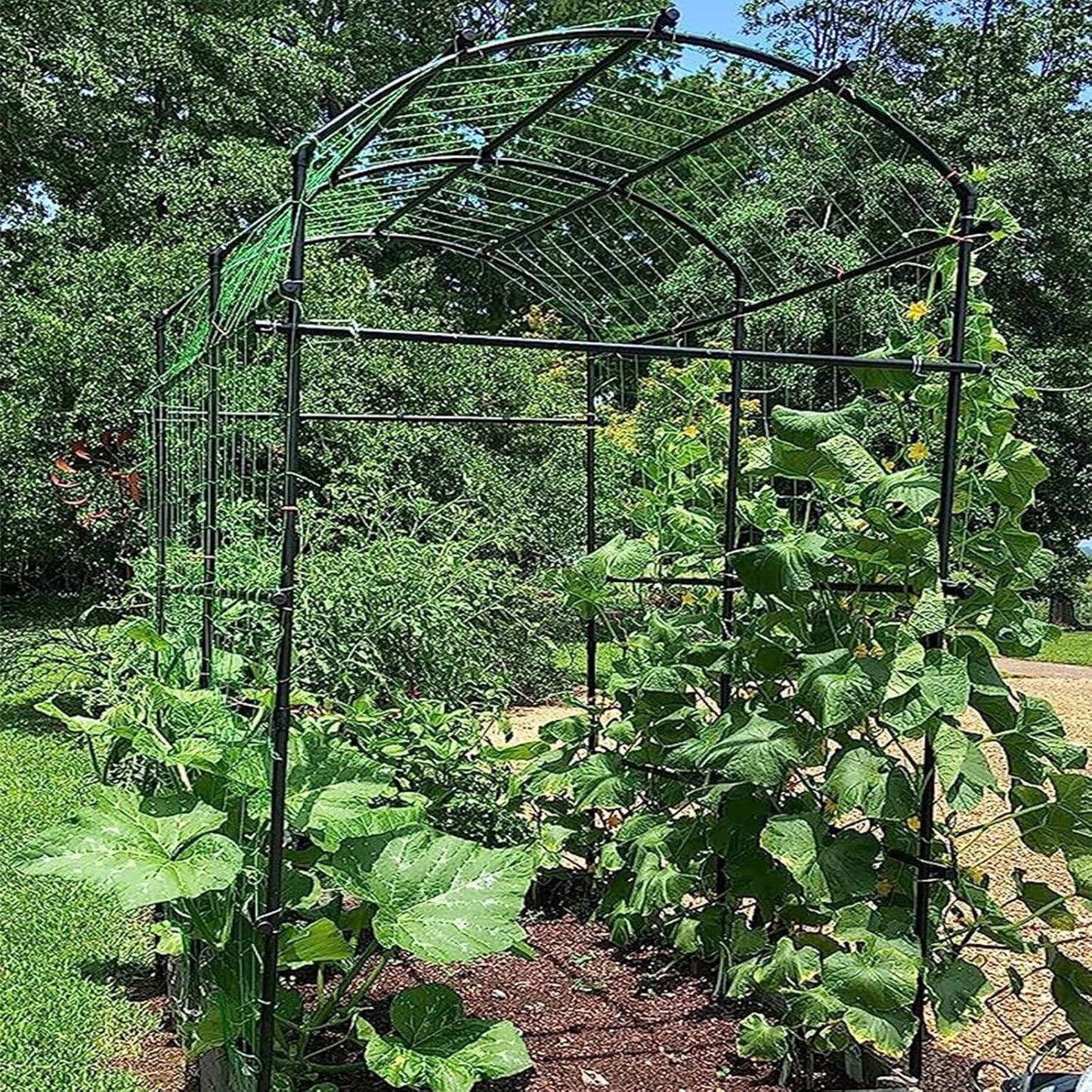 DoCred Tall Garden Arch Trellis for Climbing Plants, 87in Tall Metal Plant Support Trellis Archway for Climbing Vine Vegetable/Fruit/Flower Outdoor Yard Lawn Garden Arch Tunnel Trellis-VerdiqueGarden