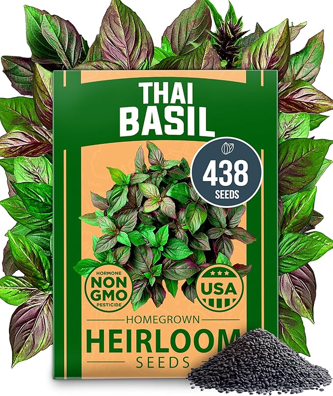 HOME GROWN Thai Basil Seeds Pack - 438 High Germination 𝗡𝗢𝗡-𝗚𝗠𝗢 𝗨𝗦𝗔 Heirloom Herb Seeds for Planting,Ideal for Growing Fresh Basil Planting Indoor or Outdoor(Ocimum basilicum var.thyrsiflora)-VerdiqueGarden