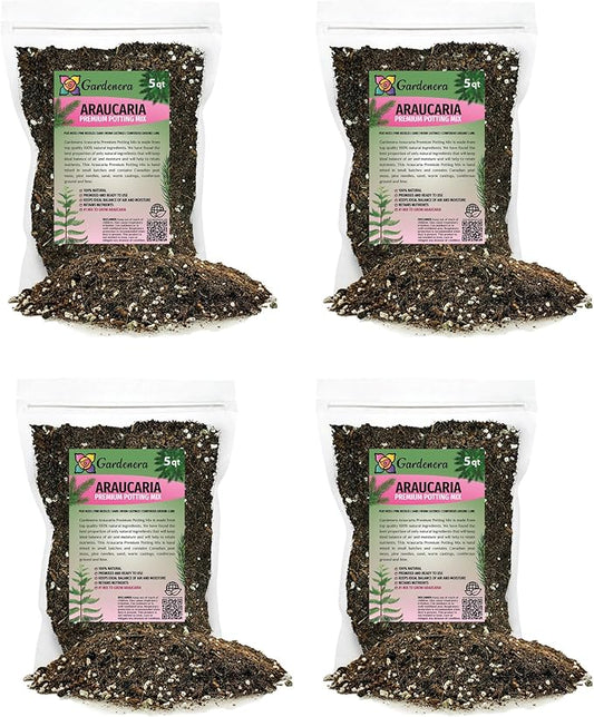 Premium Araucaria Potting Soil Mix - Perfect Balance of Nutrients, Drainage, and Aeration for Healthy Araucaria Trees - 20 Quart-VerdiqueGarden