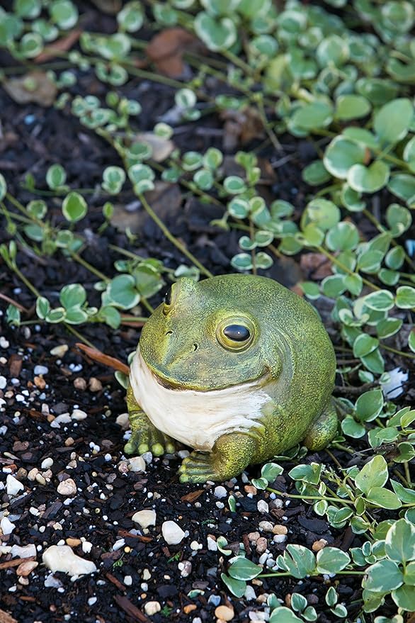 Evergreen Cute Portly Frog Outdoor Statue and Secret Key Holder | Weatherproof and Outdoor Safe | Garden Sculpture | Porch Garage or Patio Home Decor | 6 Inches Tall-VerdiqueGarden