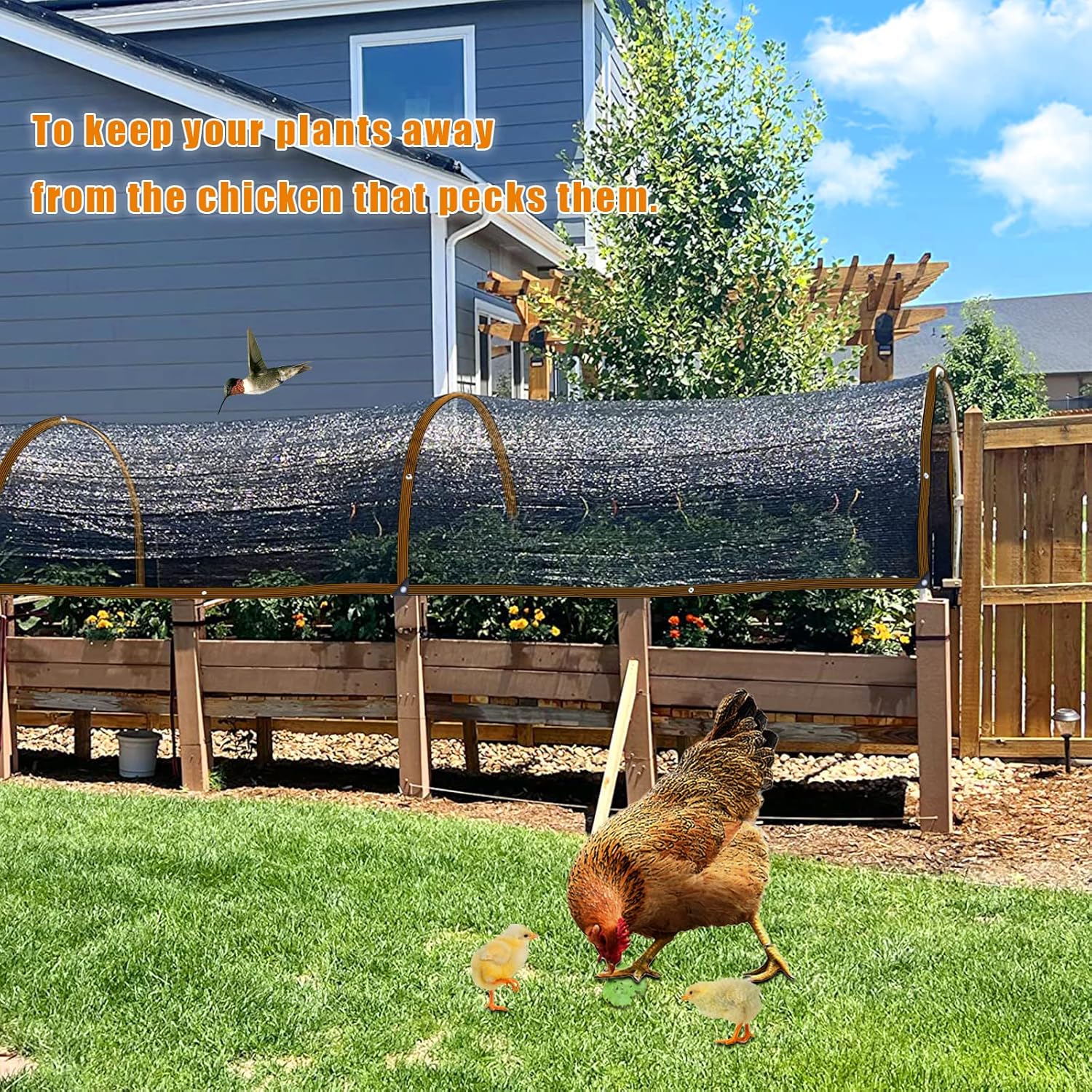 Shade Cloth - for Plants Greenhouse, 70% Sunblock Shade Sails -for Outdoor Garden Pergola Patio Lawn Sun Protection Neting Cover for Kennel Chicken Coop Easier to Hang Plant Cover-VerdiqueGarden