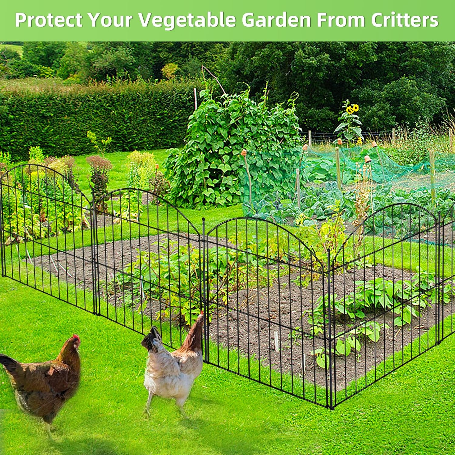 Decorative Garden Fence 24in (H) x10ft (L), 5 Pack No Dig Fence Animal Barrier for Dog, Arched Flower Bed Edging, Wire Border Panel Fencing for Yard Patio Outdoor Decor-VerdiqueGarden