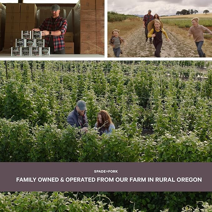 Organic Indoor Lettuce & Greens Garden Starter Kit - Certified USDA Organic Non GMO - Includes Spinach, Kale, Red Romaine, Loose Leaf Lettuce Seeds for Planting, Potting Soil, Peat Pots-VerdiqueGarden