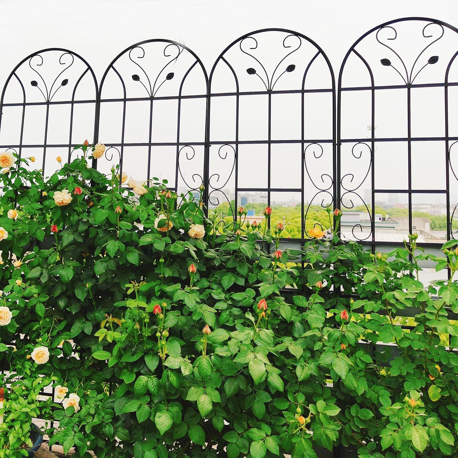 6 Pack Metal Garden Trellis 86.7" Tall Outdoor Climbing Plant Support for Roses, Flowers, Rustproof Durable Black Galvanized Tube, Lawn Garden Fence Decor Screen, 86.7" H-VerdiqueGarden