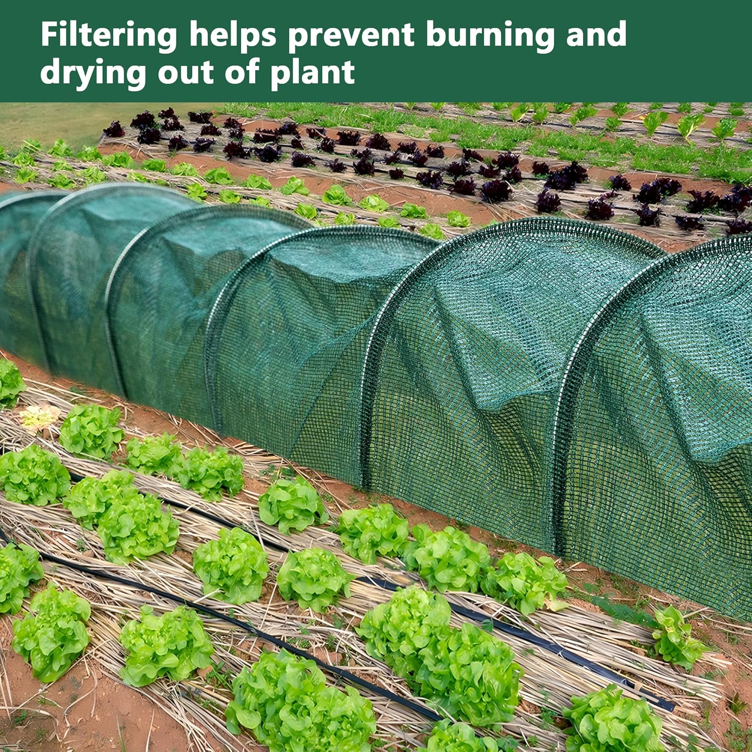 2 Pack Garden Tunnel Shade Net Cover - 10FT Shade Net Tunnel Plant Row Cover - Plant Gardening Net for Greenhouse Garden Patio Plants-VerdiqueGarden