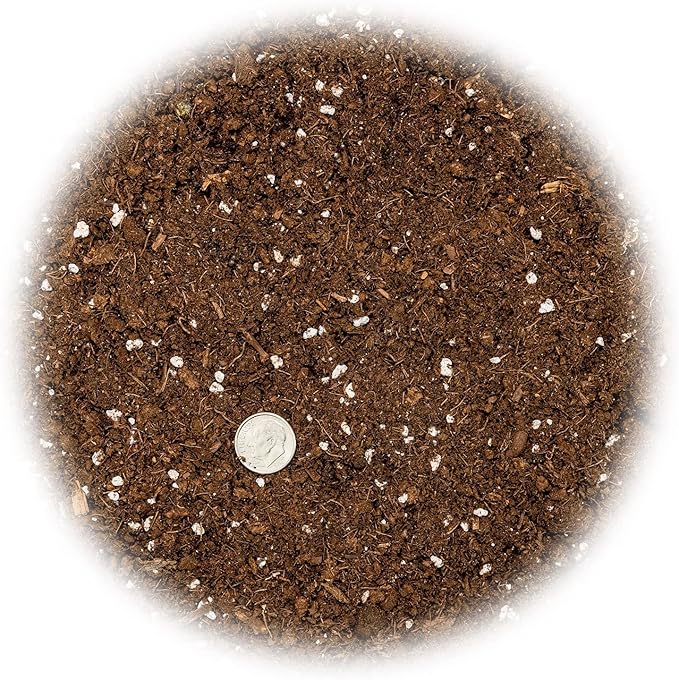 Money Tree Potting Soil, Soil Mix for Planting or Repotting Guiana Chestnut, Soil Blended to Properly Grow Money Tree Plants - (3 Quart Bag)-VerdiqueGarden