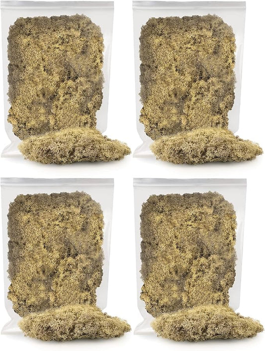 Premium Preserved Reindeer Moss for Potted Plants, Terrariums, Fairy Gardens, Arts and Crafts or Floral Decor Design in Natural (20 Quart)-VerdiqueGarden