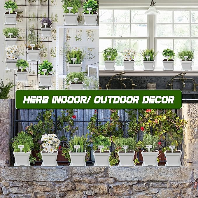 10 Herb Seeds Garden Starter Grow Kit with White Pots, Markers, Nutritional Soil, Watering, Herb Clipper, Complete Indoor Potted Plant Growing Set for Kitchen DIY-VerdiqueGarden