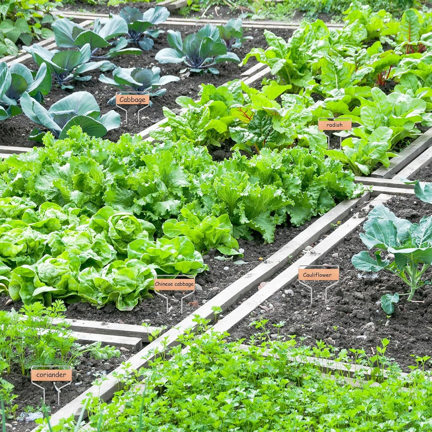 50 PCS Metal Plant Labels Plant Tags 4 Inch Plant Markers For Garden Waterproof Copper Plant Tags Outdoor Garden Label Stakes Reusable Nursery Tags Garden Plant Copper Label For Seedlings-VerdiqueGarden