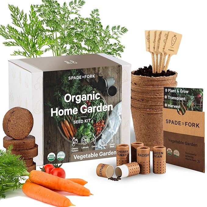 Organic Indoor Vegetable Garden Starter Kit - Made in USA - Certified USDA Organic - 5 Seed Types Cherry Tomato, Lettuce, Carrot, Radish, Green Bean | Indoor Plant Seeds, Indoor Garden Kit, Plant Kit-VerdiqueGarden