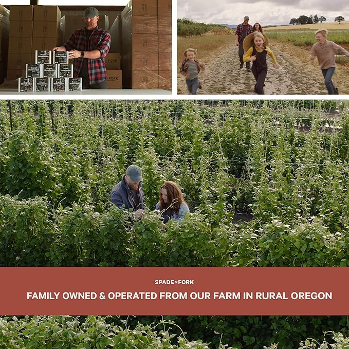 Organic Indoor Salsa Garden Starter Kit - Made in USA - Certified USDA Organic - 5 Seed Types San Marzano & Cherry Tomato, Jalapeño, Cilantro, Green Onion - Potting Soil, Indoor Herb Garden Kit-VerdiqueGarden