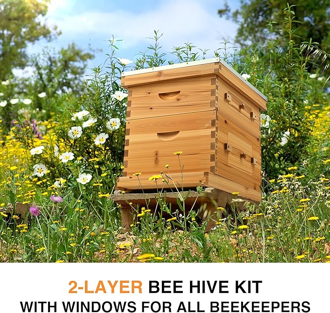 CREWORKS 10 Frame Bee Hive, 2 Layers Beeswax Coated Beehive Starter Kit with Frames & Foundations, Langstroth Bees Hives Box with Transparent Acrylic (Window Medium Box & Deep Box)-VerdiqueGarden