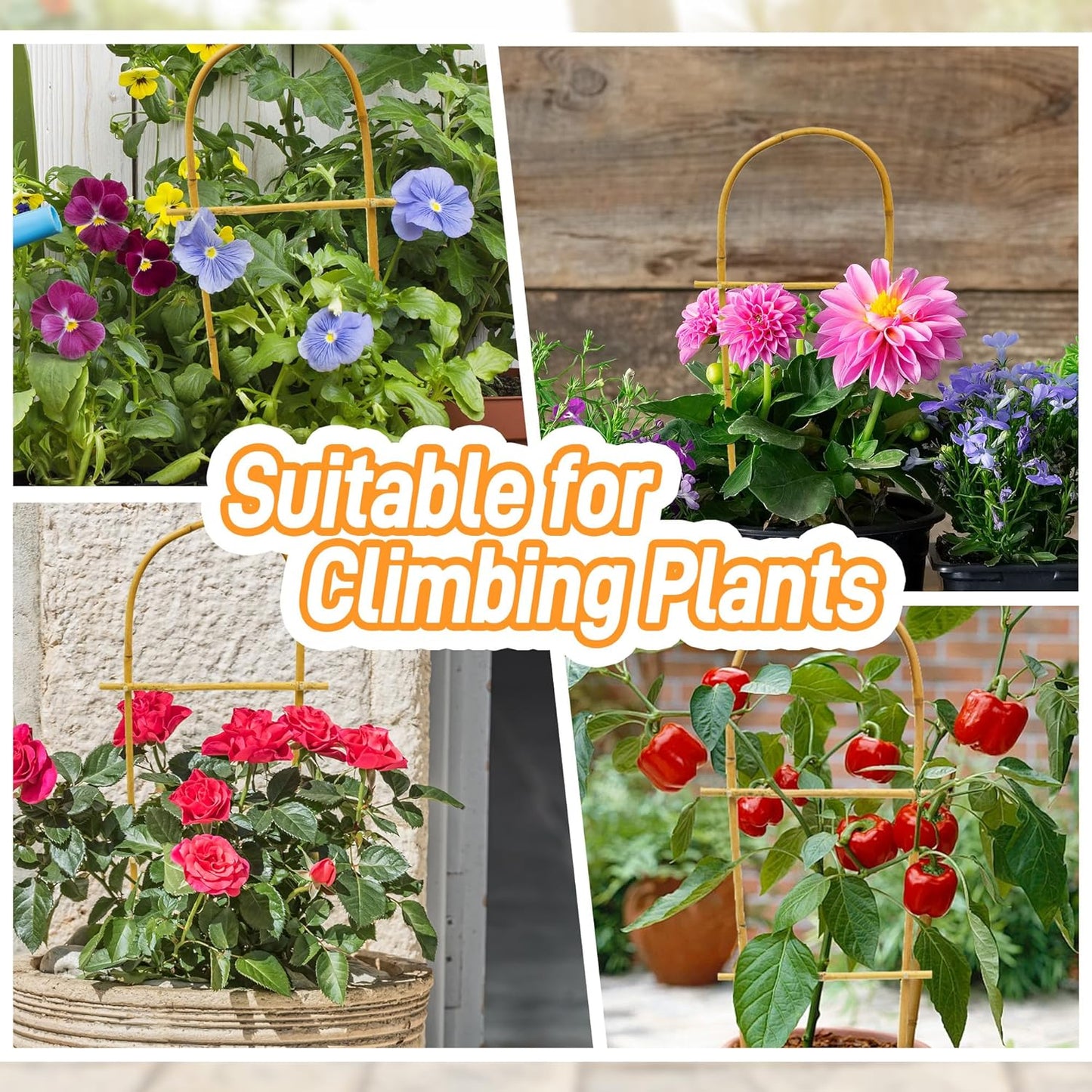 Avalution 10 Pack Bamboo U Trellis for Climbing Plants, 2ft Garden Ladder Trellis for Potted Plants Indoor, Ladder Small Plant Support Trellis for Houseplants Ivy Hoya Vine Monstera-VerdiqueGarden