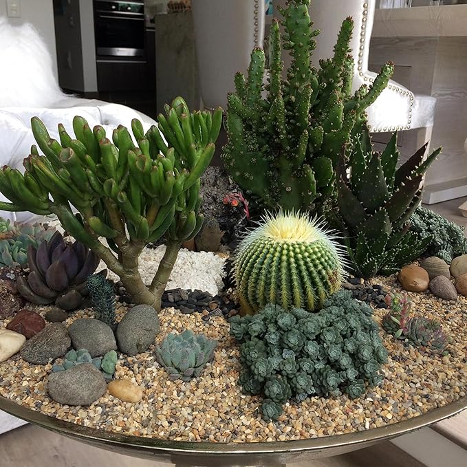 10 lbs Aquarium Gravel, 2-4mm Fish Tank Gravel, Succulent Cactus Pea Gravel for Indoor Plants, River Rocks for Gardening, Flower Pots, Vase Fillers, Garden Landscaping